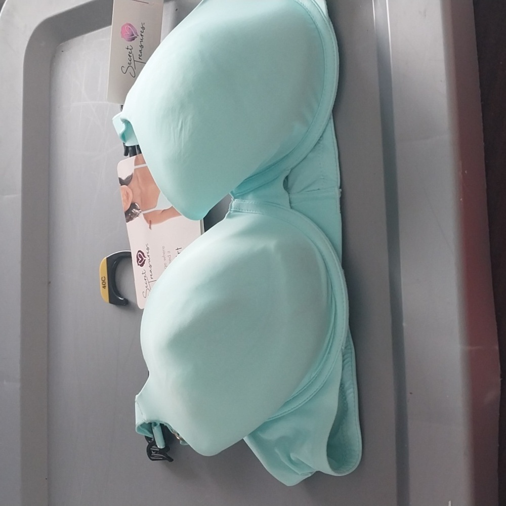 Secret Treasures Aqua Bra